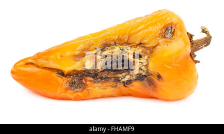 Verfaulte orange Paprika isoliert auf weißem Hintergrund. Stockfoto