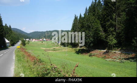 Auf dem Lande in Kroatien ist eine krumme Powerline Überfahrt über das grüne Feld. Stockfoto