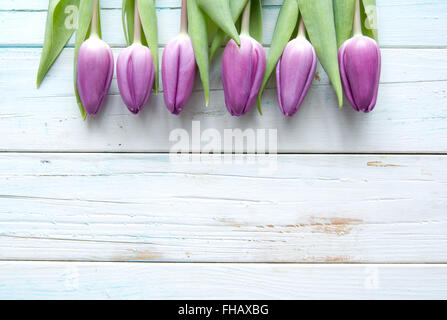 Lila Tulpen auf einem hölzernen Hintergrund mit Raum Stockfoto