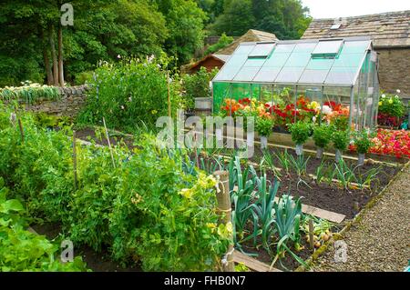 Zuteilung, Anbau von Gemüse und Blumen in das grüne Haus. Stockfoto