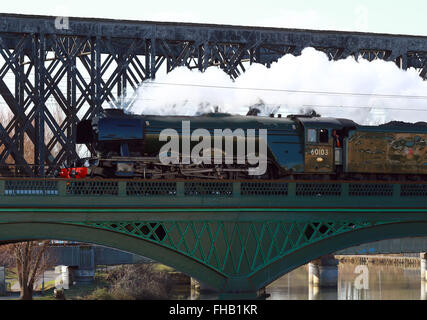 Peterborough, Cambridgeshire, Großbritannien. 24. Februar 2016. Die Flying Scotsman Dampf Zug kreuzen den Fluss Nene in Peterborough als macht es seinen Weg nach London für seinen ersten Passagierservice von London Kings Cross nach York Morgen. Flying Scotsman hat ein £ 4,2 Millionen Refit hatte, da es an der Ostküste Hauptstrecke 2005 zuletzt ausgeführt wurde.  Bildnachweis: Paul Marriott/Alamy Live-Nachrichten Stockfoto