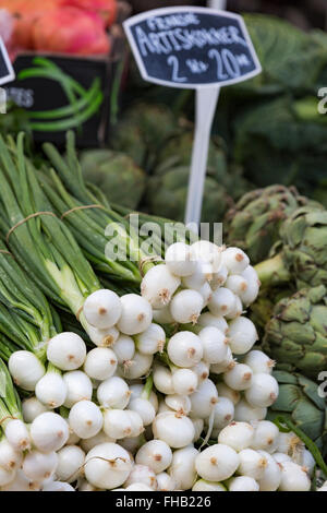 Frühlingszwiebeln, auch bekannt als Salat Zwiebeln, Schalotten oder Zwiebeln Grün auf dem Markt Stockfoto