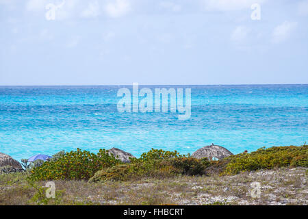 Tropischer Strand auf der Insel Cayo Largo Stockfoto