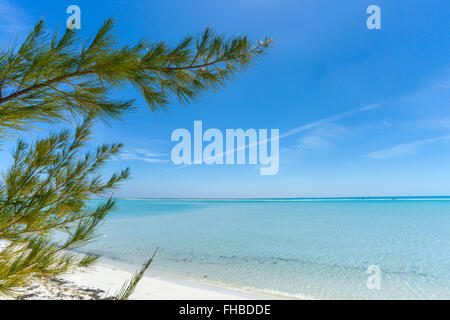 Tropischer Strand auf der Insel Cayo Largo Stockfoto