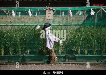 Vogelscheuche im Garten in Tokio Japan Stockfoto