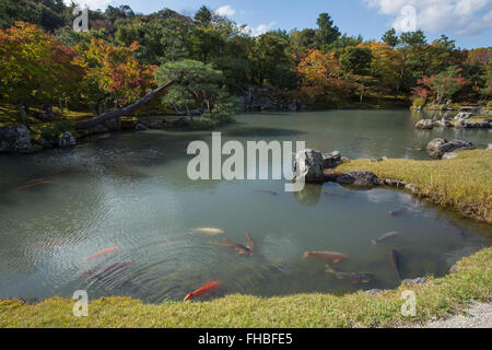 Garten in Tenryu-Ji-Tempel in Kyoto Japan Stockfoto