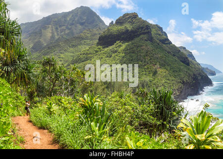 Blick auf die Na Pali Coast vom Kalalau Trail auf Kauai Stockfoto