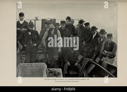 Die Seebären und Seebär Inseln der nördlichen Pazifik Stockfoto