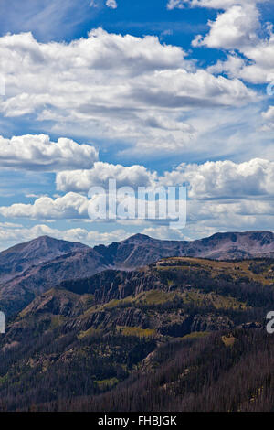 Ein Blick auf die Rocky Mountains in der Nähe von LOBO Punkt, Höhe 7060 Füße auf die kontinentale Wasserscheide in der WEMINUCHI-Wüste in der Stockfoto