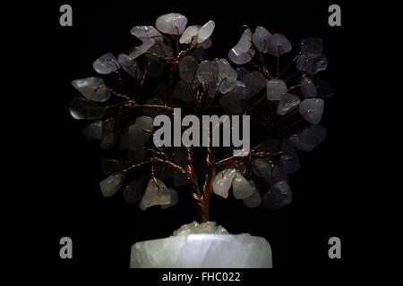 Edelstein bonsai baum -Fotos und -Bildmaterial in hoher Auflsung  Alamy