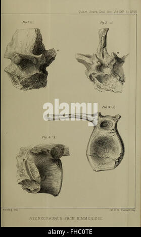 Die vierteljährlich erscheinende Zeitschrift der Geological Society of London Stockfoto