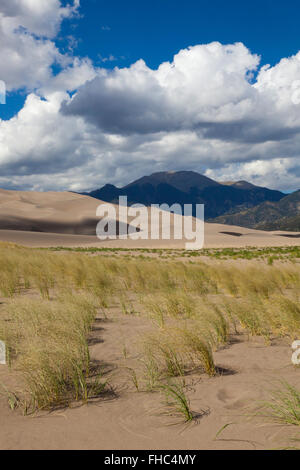 GREAT SAND DUNES NATIONAL PARK enthält die größten Sanddünen in Nord-Amerika - COLORADO Stockfoto