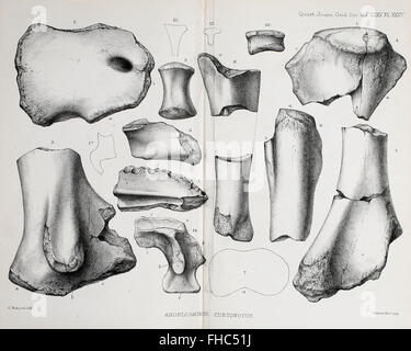 Die vierteljährlich erscheinende Zeitschrift der Geological Society of London Stockfoto