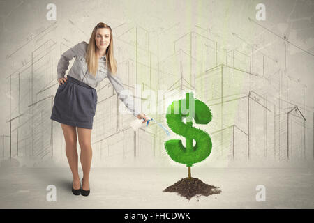 Business Frau poring Wasser auf Dollar Baum anmelden Stadt Hintergrund Stockfoto