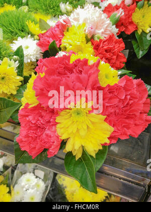 Schöne Blumen von Chrysanthemen Stockfoto