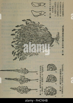 Eine chinesische Arbeit aus dem Jahr 1957, die Anleitung zum Erlernen chinesischer Schriftzeichen und zur Verbesserung der Lese- und Schreibkompetenz durch strukturierte Methoden und praktische Übungen bietet. Stockfoto