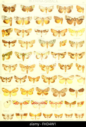 Sterben Sie Gross-Schmetterlinge der Erde - Eine Systematische Bearbeitung der Bis Jetzt Bekannten Gross-Schmetterlinge (1900) Stockfoto