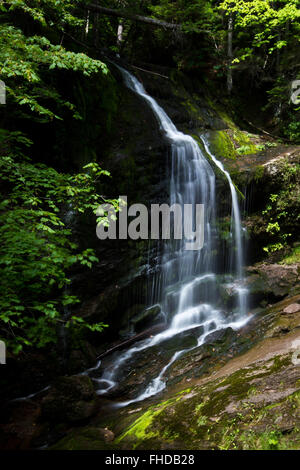 Wasserfall auf dem Fundy Trail Parkway Stockfoto