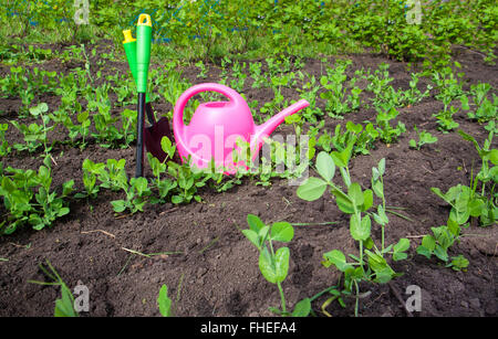 Gartengeräte, Gießkanne, Samen, Pflanzen und Boden im Frühlingsgarten Stockfoto