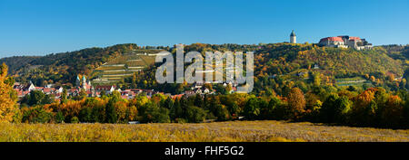 Panoramablick auf Freyburg mit Schloss Neuenburg, St. Marien Kirche und Weinbergen, Freyburg, Burgenlandkreis, Sachsen-Anhalt Stockfoto