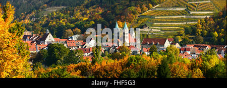 Panoramablick auf Freyburg mit Schloss Neuenburg, St. Marien Kirche und Weinbergen, Freyburg, Burgenlandkreis, Sachsen-Anhalt Stockfoto