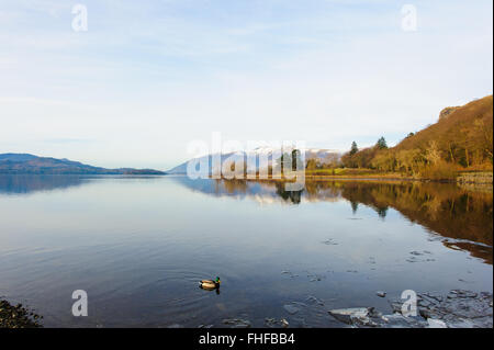 Blick entlang Derwentwater Kettlewell National Trust vom Parkplatz aus, in der Nähe von Keswick, Cumbria Stockfoto