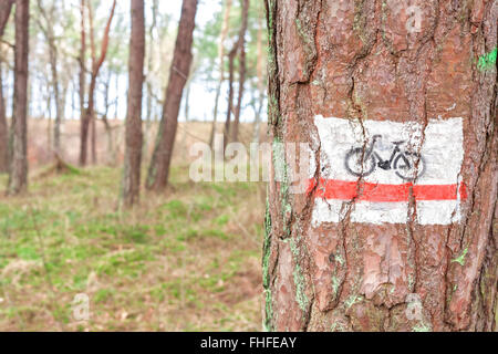 Bike Trail Schild gemalt auf einem Baum im Wald. Stockfoto