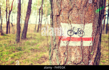 Retro-getönten Bike Trail Schild gemalt auf einem Baum im Wald. Stockfoto