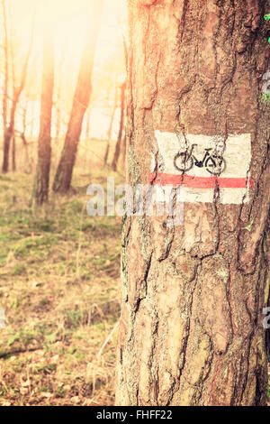 Retro-getönten Bike Trail Schild gemalt auf einem Baum im Wald. Stockfoto