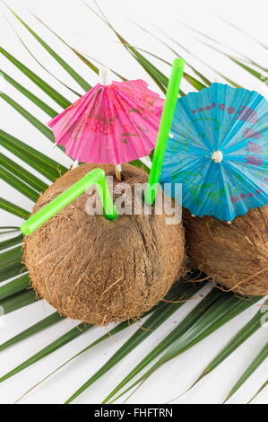 Frische Kokosnuss Cocktails mit Sonnenschirmen auf Kokosnussblättern platziert Stockfoto