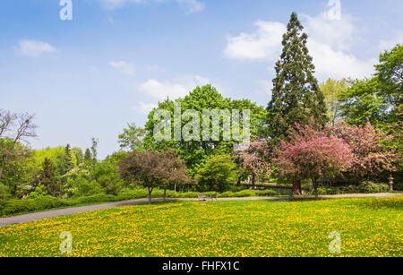 CityPark (Stadtgarten) im Zentrum von Freiburg Im Breisgau City, Baden-Wurttemberg State, Deutschland Stockfoto