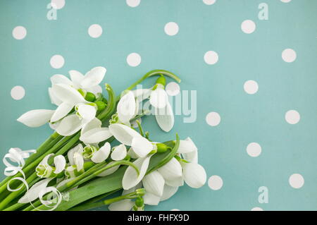 Frische Schneeglöckchen Strauß auf blau gestrichelten Hintergrund Stockfoto