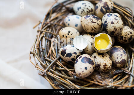 Ostern-Hintergrund mit Eiern von Wachteln Stockfoto