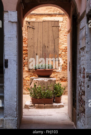 Kleinen sonnigen Innenhof mit Topfpflanzen mitten in Venedig Stockfoto