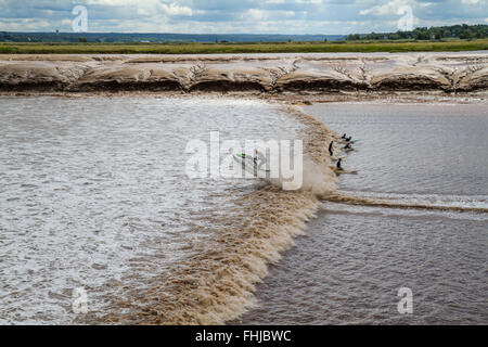 Surfer und Jet Ski fahren eine Gezeiten Bohrung im Petitcodiac Fluß Stockfoto