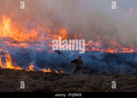 North Pennines, County Durham. 25. Februar 2016. Großbritannien Wetter. Ruhig, kühl und trocken Wetter erhält Jagdaufseher Gelegenheit, kontrollierte Heather brennen als Bestandteil ihrer Grouse moor Management zu verwenden. Jedes Jahr vor Beginn der Brutsaison Abschnitte von Heidekraut werden verbrannt, zu ermutigen, neue Triebe wachsen, die von Moorschneehühner gespeist werden. Bildnachweis: David Forster/Alamy Live-Nachrichten Stockfoto