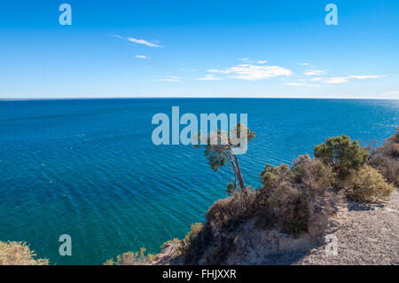 Atlantikküste in der Nähe von Puerto Madryn, Argentinien Stockfoto