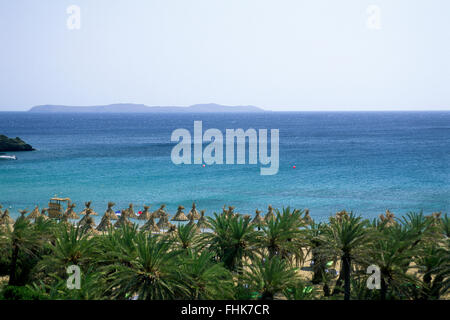 Griechenland, Kreta, Vai Beach, der einzige Palmenwald in Europa Stockfoto