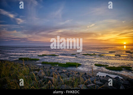 Deutschland, Dithmarschen, Friedrichskoog-Spitze, Sonnenuntergang an der Nordsee-Nordsee Stockfoto