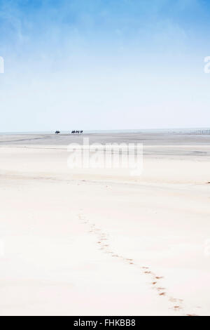 Brasilien, brasilianische Amazonas, Para, Insel Marajó, leeren Strand mit entfernten Reiter Stockfoto