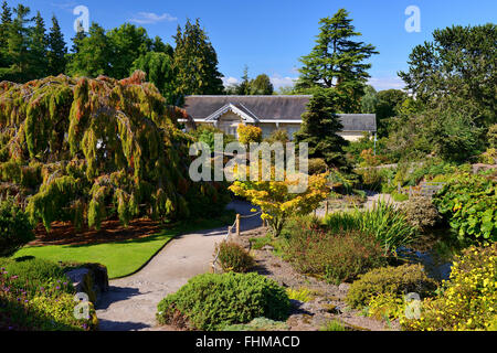 Steingarten, Royal Botanic Garden Edinburgh, Scotland, UK Stockfoto