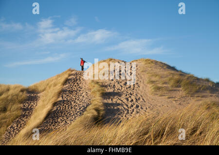 Großen Sanddüne in der Nähe von Gullane und hinter East Lothian Schottland Vereinigtes Königreich. Stockfoto