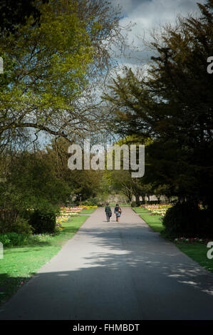 Zwei Teenager Schulmädchen zu Fuß durch den Park, von hinten. Stockfoto