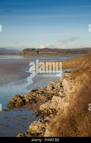 Suche entlang der Mündung des Flusses Kent in der Nähe von weit Arnside, Lancashire, England. Stockfoto