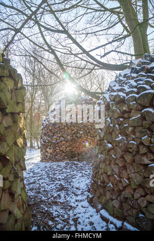 Holz Hausen Holz Stapel in einem Garten in Fife Schottland. Stockfoto