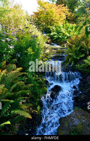Bach im Steingarten, im Royal Botanic Garden Edinburgh, Scotland, UK Stockfoto