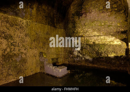 Ein uraltes Wasserreservoir namens Struthion Pool an den unterirdischen Tunneln der Westmauer. Es handelt sich um künstliche Tunnel, die zur Erforschung der Westmauer und der damit verbundenen Antiquitäten gegraben wurden. Der Großteil des Tunnels ist eine Fortsetzung der offenen Westmauer und befindet sich unter den Gebäuden des muslimischen Viertels der Altstadt von Jerusalem. Israel Stockfoto