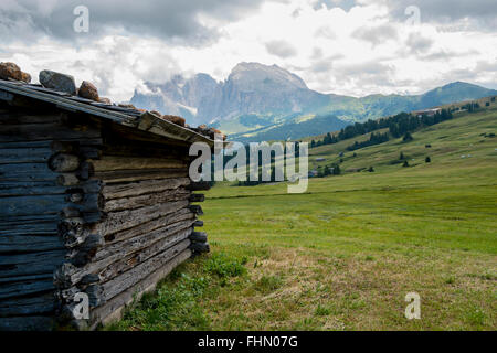 Langkofel, Plattkofels, Seiser Alm, Naturpark Schlern-Rosengarten, Dolomiten Stockfoto