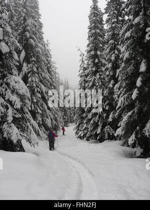 Zwei Frauen auf einer Strecke, umgeben von großen Schnee Schneeschuhwandern bedeckt immergrüne Bäumen Stockfoto