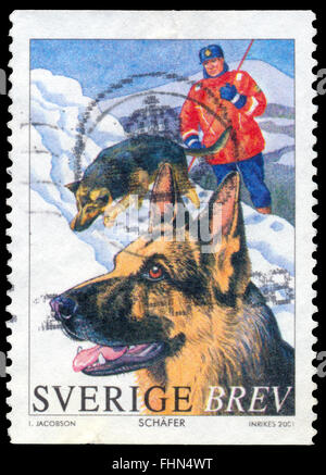 BUDAPEST, Ungarn - 21. Februar 2016: eine Briefmarke gedruckt in Schweden zeigt, Deutscher Schäferhund, ca. 2001 Stockfoto